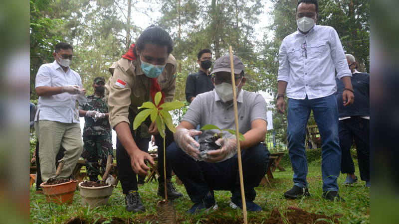 Bupati Banyumas Minta Kantong Semar Ditanam di Taman Botani