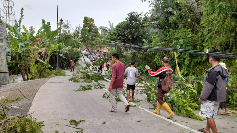 Jalan Menuju Dieng Tertutup Pohon Tumbang