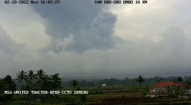 Tetap Waspada! Gunung Semeru Kembali Erupsi,  Desa Oro-Oro Ombo Terdampak Hujan Abu
