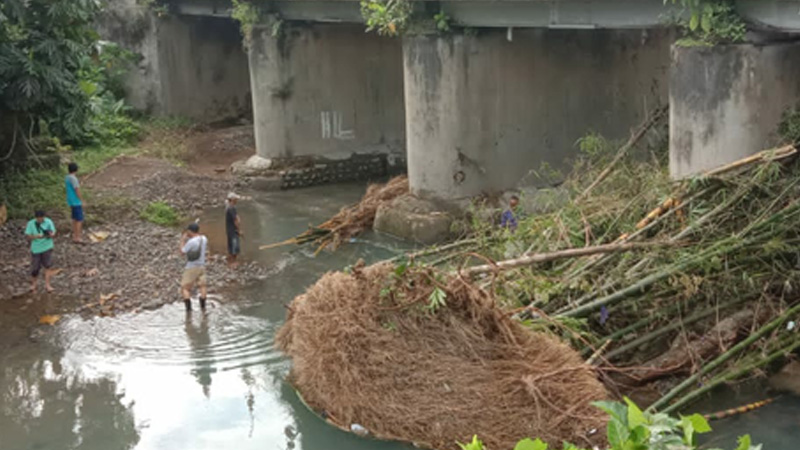 Dapuran Bambu Nyangkut di Pilar Jembatan Sungai Reja Minimalisir Aliran Arus Air