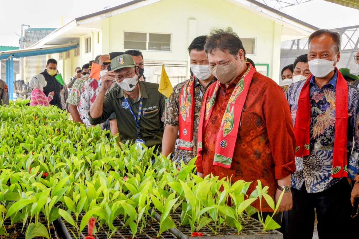 Reforestrasi Dorong Akselerasi Pertumbuhan Green Economy, Menko Airlangga: Konsep Ekonomi Lingkungan