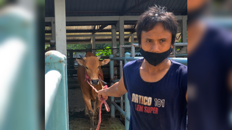 Penggabungan RPH Wangon, Ajibarang dan Cilongok Tunggu Pembebasan Lahan