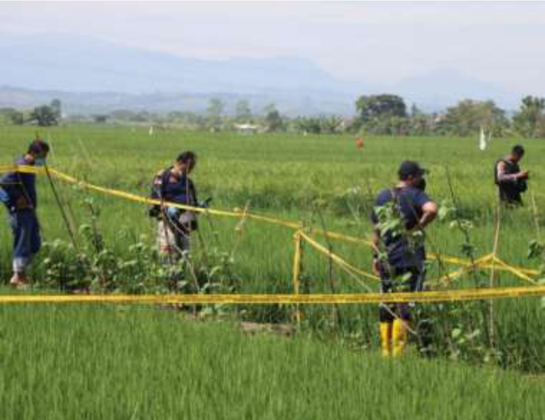Suami Temukan Mayat Istri, Leher Digorok, Dua Payudaranya Dipotong, Kasus di Kabupaten Tegal
