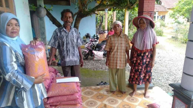 72 Ha Persawahan di Tambak Terancam Gagal Tanam