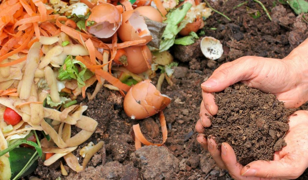 Ini Sob Pupuk Alami dari Sampah Dapur