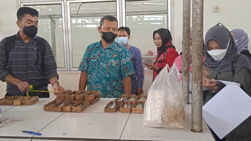 Menuju SNI, Pasar Sumpiuh Disurvei