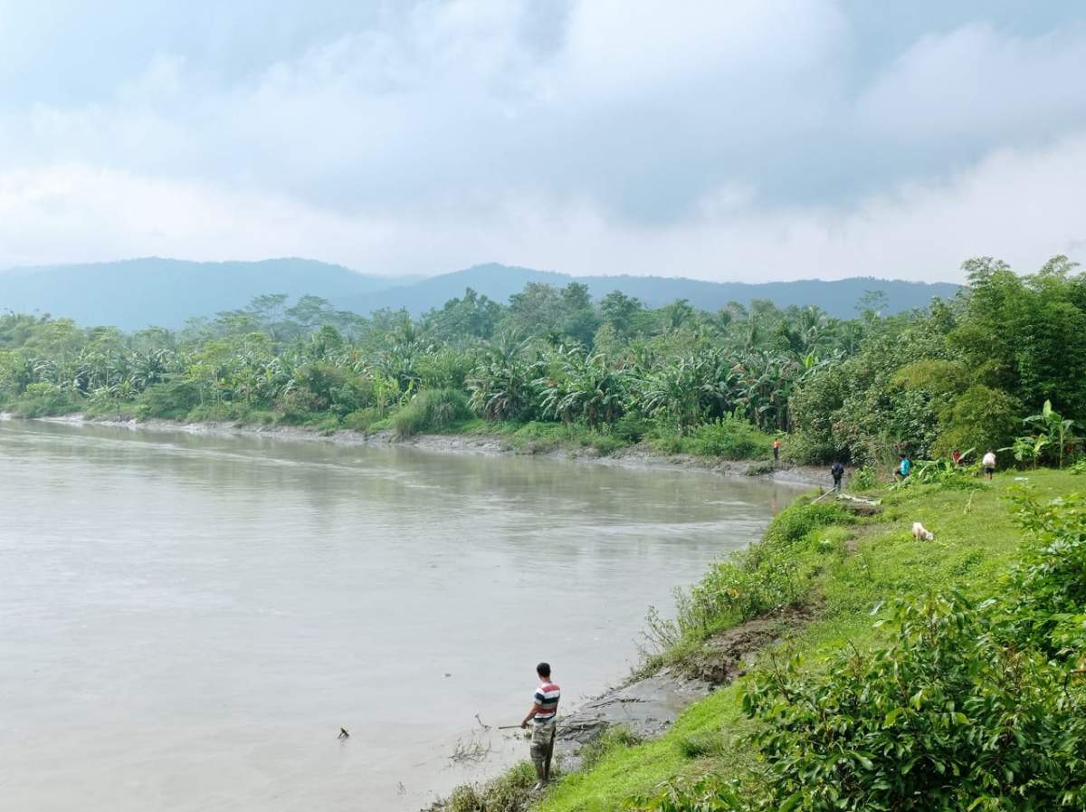 Sejak Semalam, Ikan di Sungai Serayu Kembali 