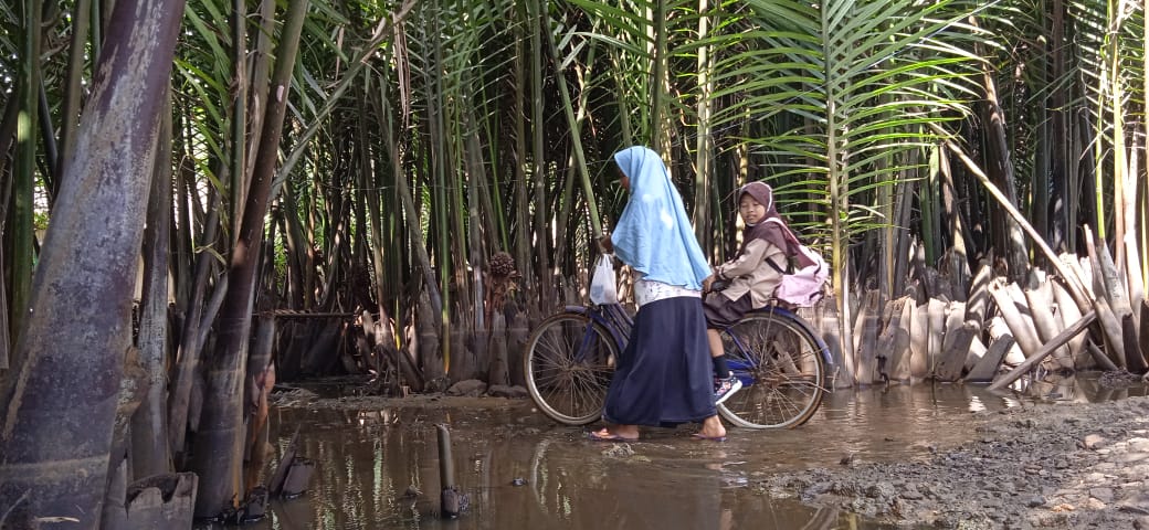 Langganan Banjir, Usia Produktif Pilih Merantau