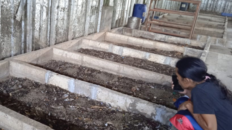 Peternak Magot Kembali Bergeliat Paska Banjir