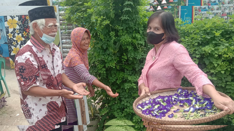 Wisata Demo Kampung Nopia Tutup Sementara