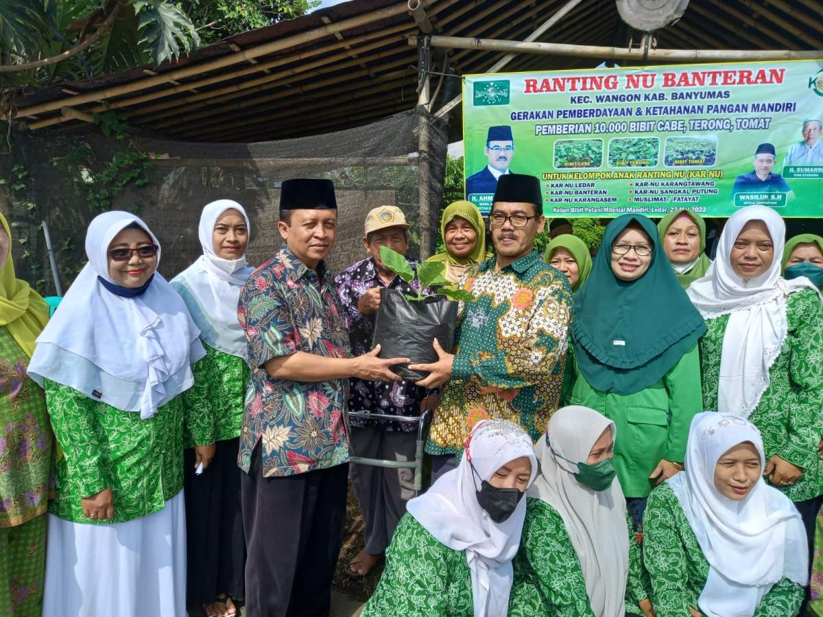 Wujudkan Ketahanan Pangan H. Ahmad Darisun Bagikan 10 Ribu Bibit Cabe, Terong, dan Tomat