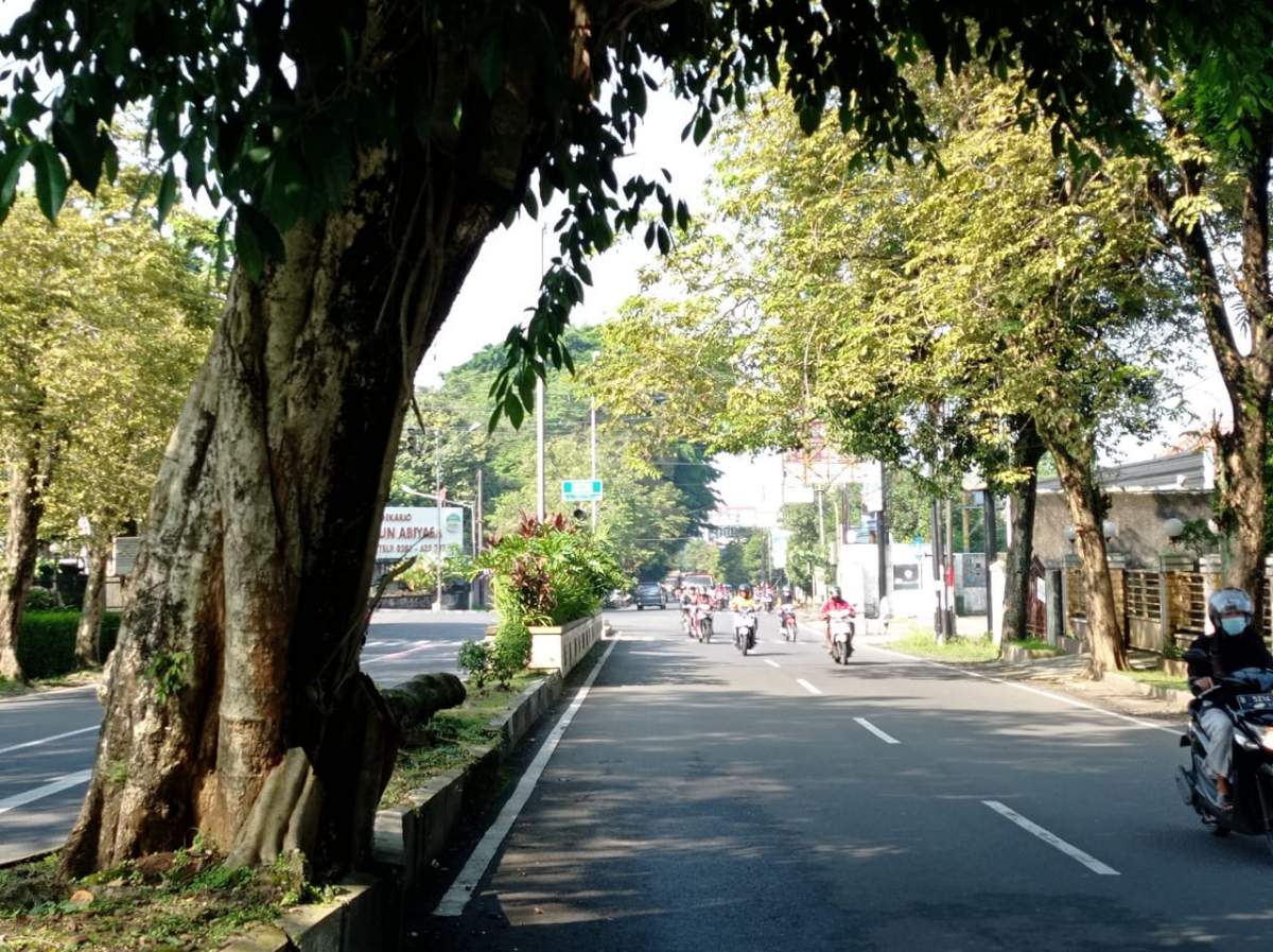 Sempat Tertunda, Peningkatan Median Jalan Ahmad Yani Kembali Dilanjutkan Tahun Ini Tetapi Belum Full