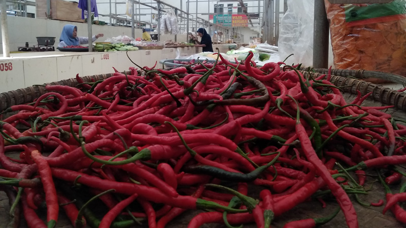 Harga Rawit Semakin Menggigit