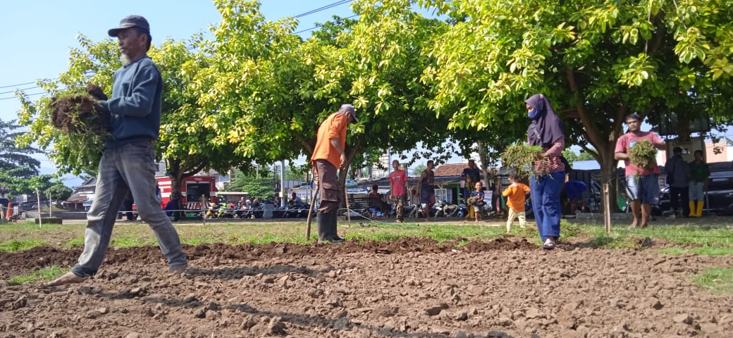 Saat Rumput Alun-Alun Banyumas Rusak, DLH Banyumas Minta PKL Ikut Bertanggung Jawab