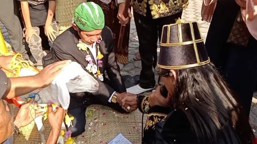 Waduh, Ada Ritual Pernikahan Manusia dengan Kambing, MUI, PCNU, hingga Muhammadiyah Tegas Mengecam