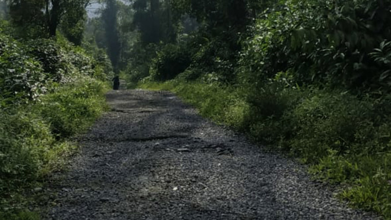 Ruas Jalan Tembus Baturraden - Serang Digarap Bulan Ini