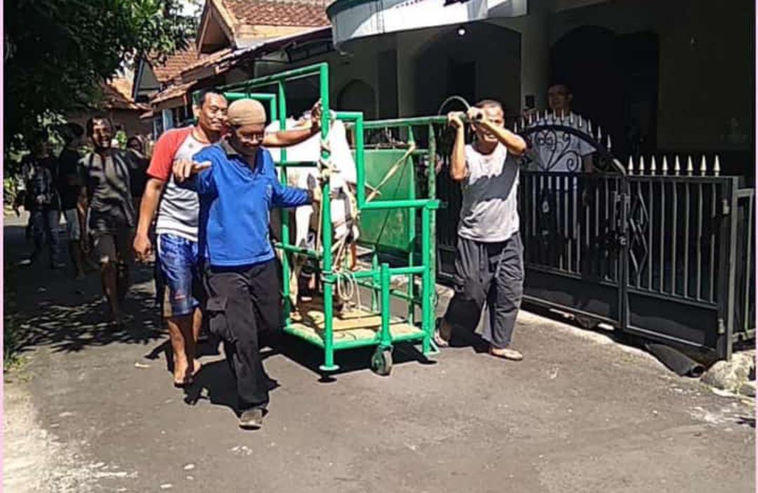 Sapi Kurban Ngamuk Berhasil Diamankan Setelah Satu Jam di Purwokerto