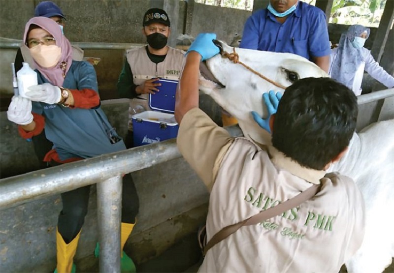 Lalu Lintas Jeroan Dibatasi