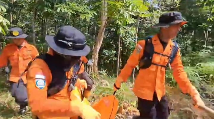 Nenek yang Hilang di Hutan Boja Majenang, Cilacap Ditemukan Meninggal Dunia