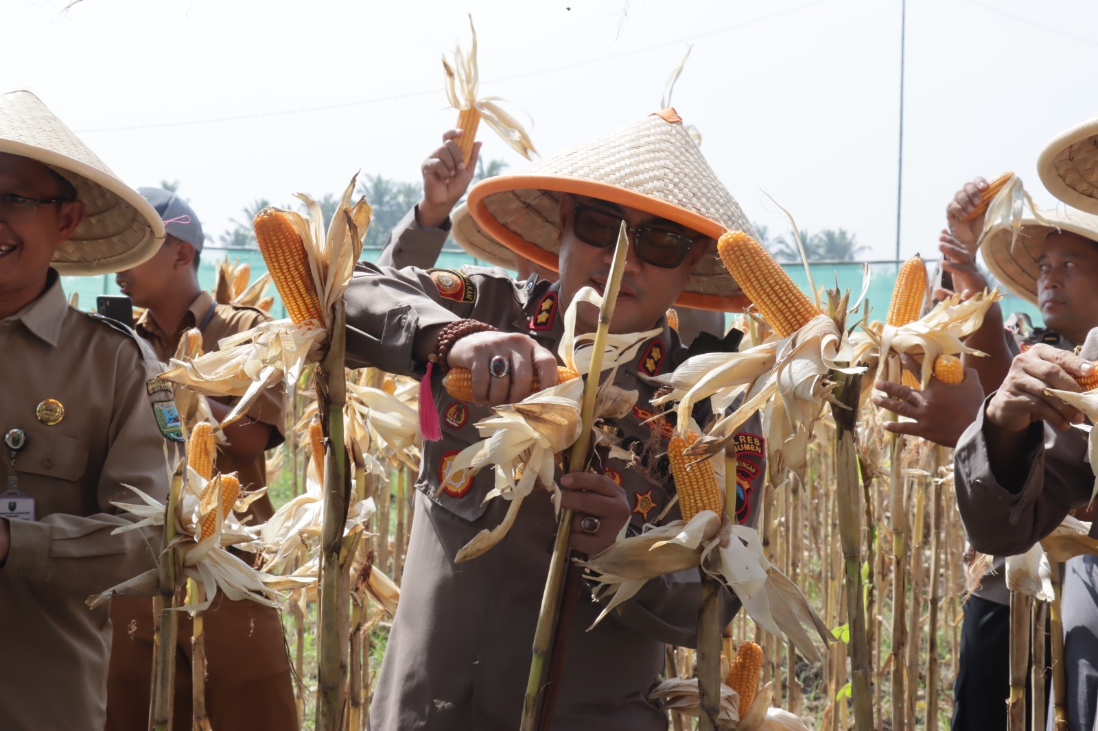 Polres Kebumen Gelar Panen Raya Jagung di Mirit
