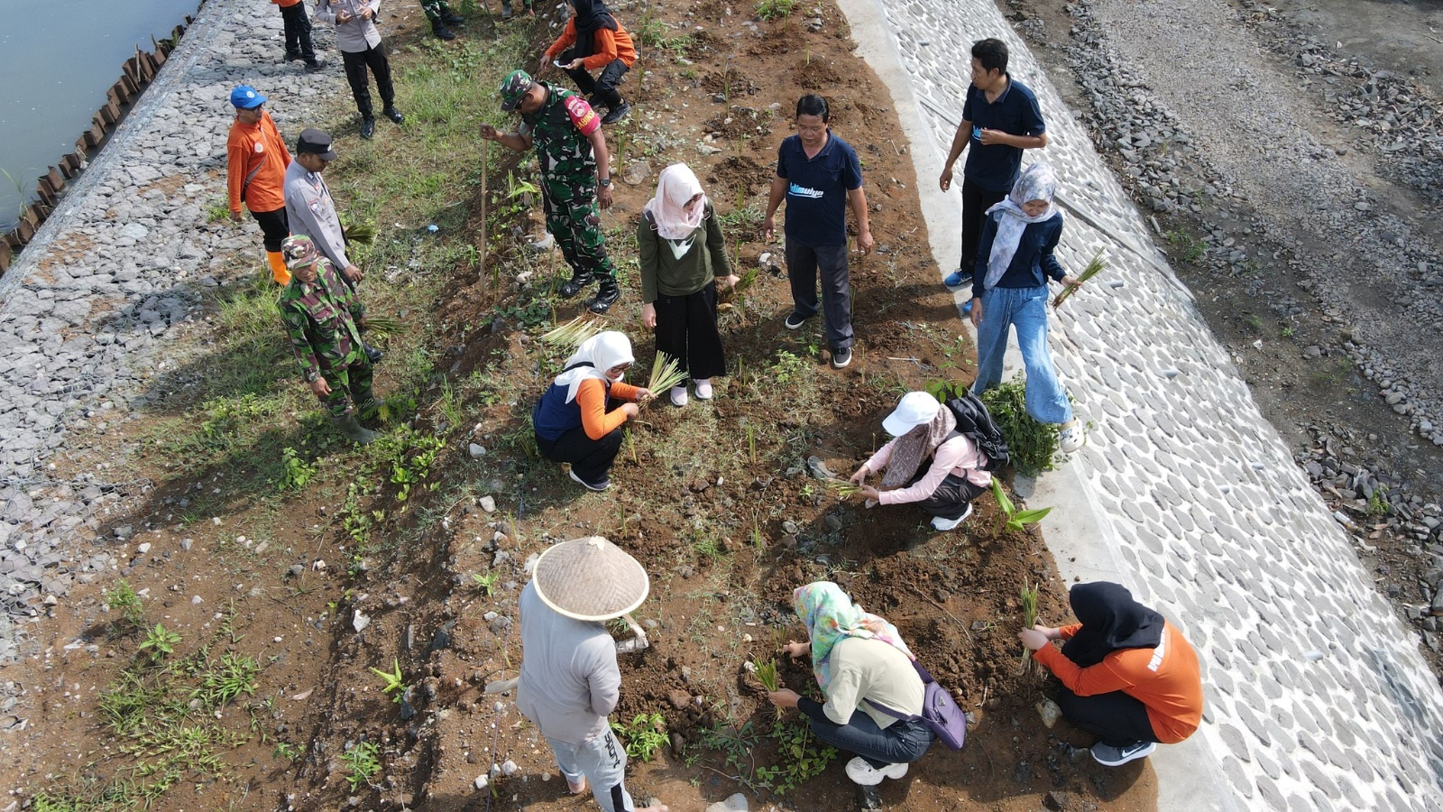 Cegah Banjir, Sungai Kemit Ditanami Rumput Vetiver