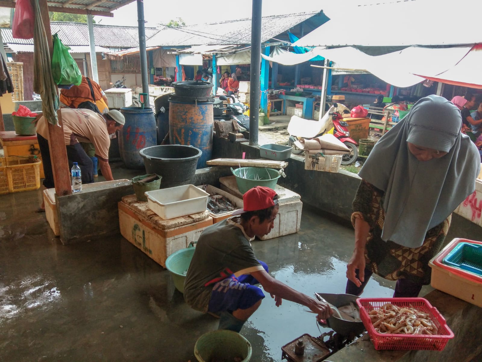 Pengelolaan Perikanan di Kabupaten Cilacap akan Diatur dalam Perda