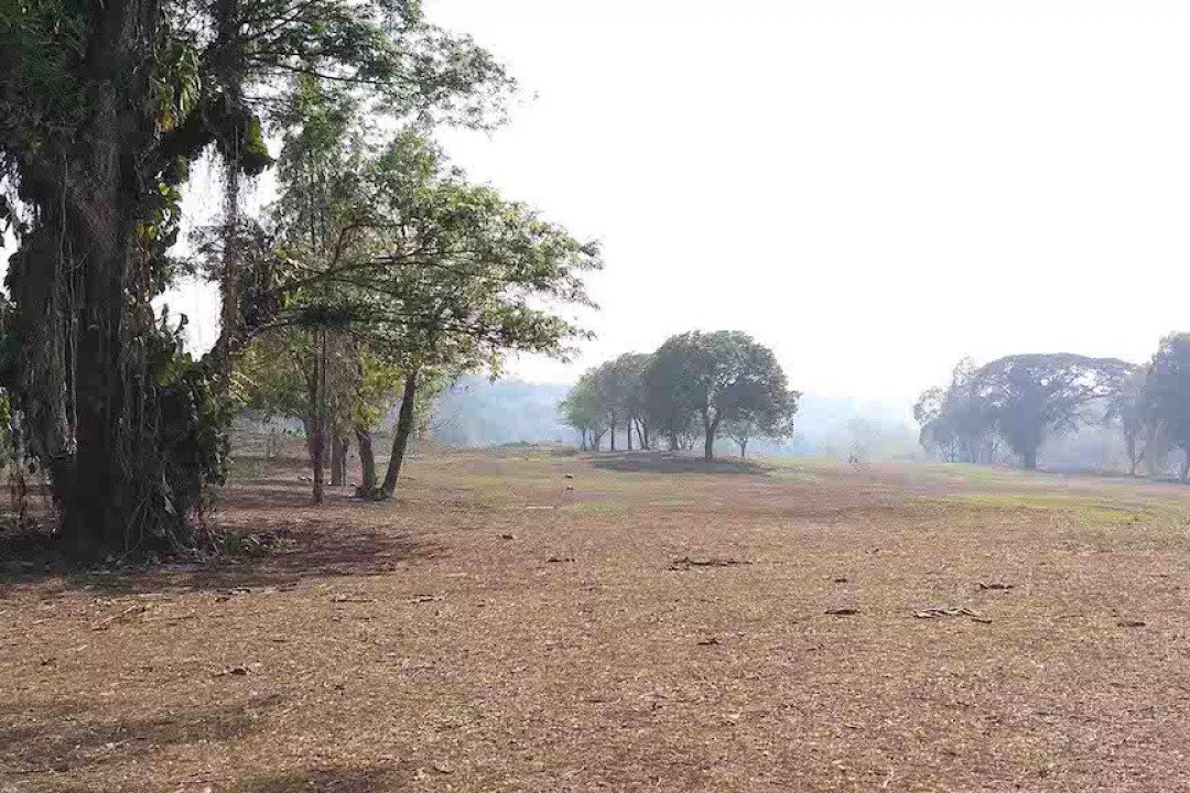 5 Wisata Alam di Semarang, Ternyata Ada Padang Sabana!