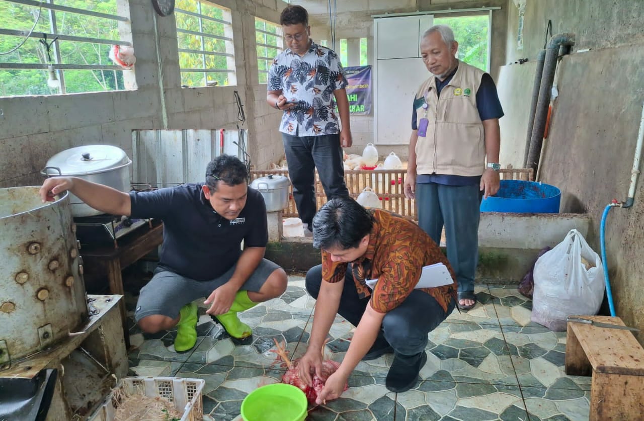Tiga Rumah Potong Ayam Diaudit Sertifikasi Halal