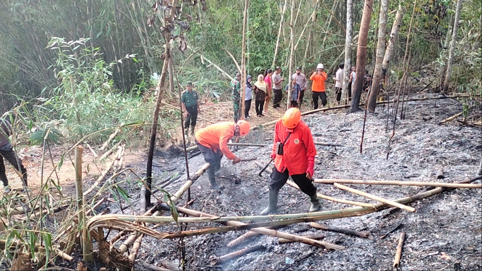 3 Lahan Perkebunan Milik Warga di Kejawar Banyumas Terbakar