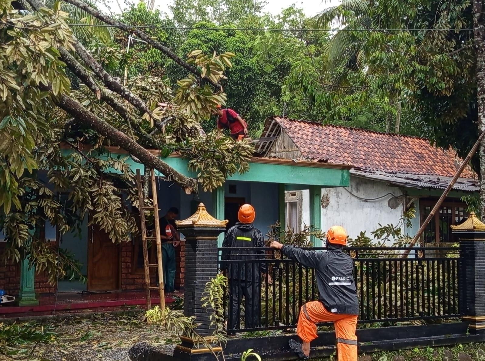 Cuaca Ekstrem Picu 44 Bencana di Banyumas, 32 Rumah Rusak, Pohon Tumbang Mendominasi