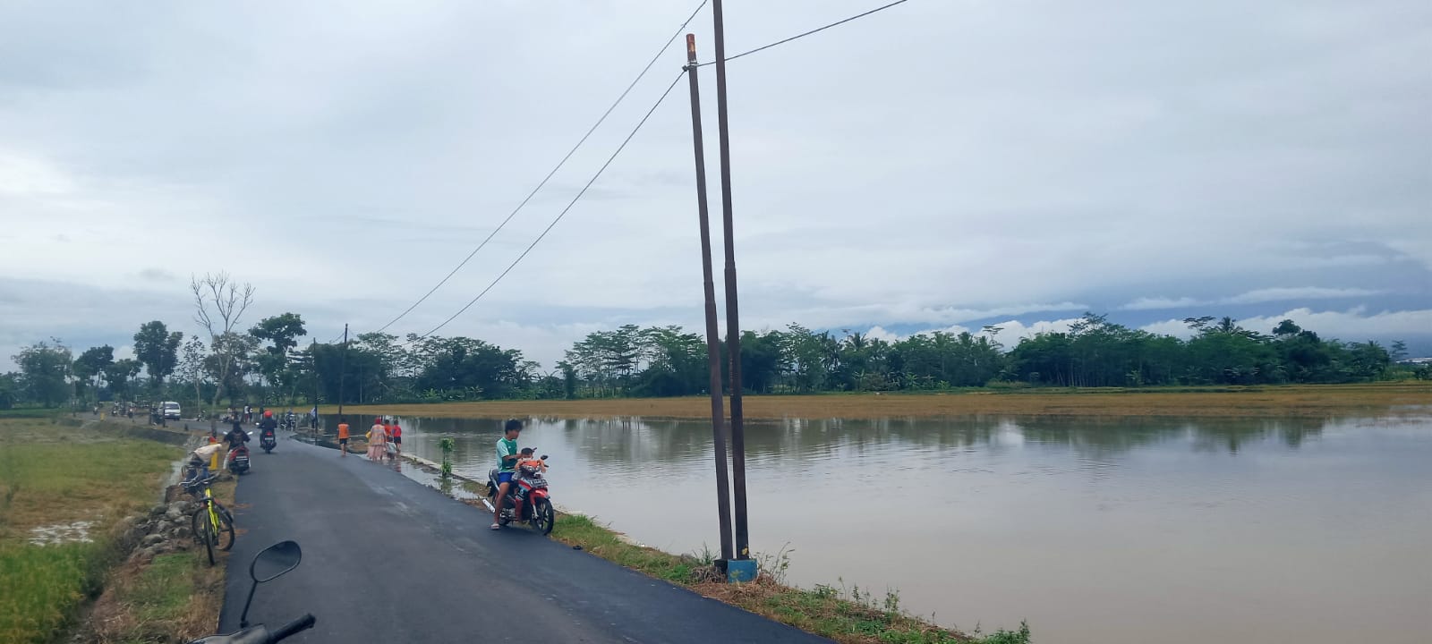 390 Hektar Lahan di Dua Kecamatan Ini Terancam Kekeringan
