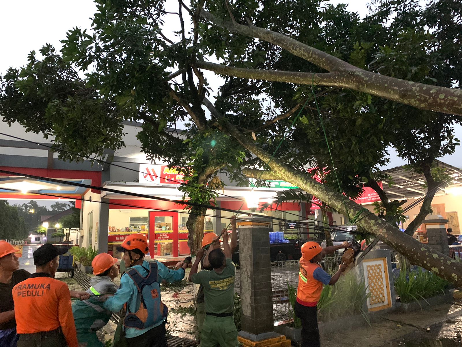 Cuaca Ekstrem, Sejumlah Pohon Tumbang, Tutup Badan Jalan dan Timpa Rumah