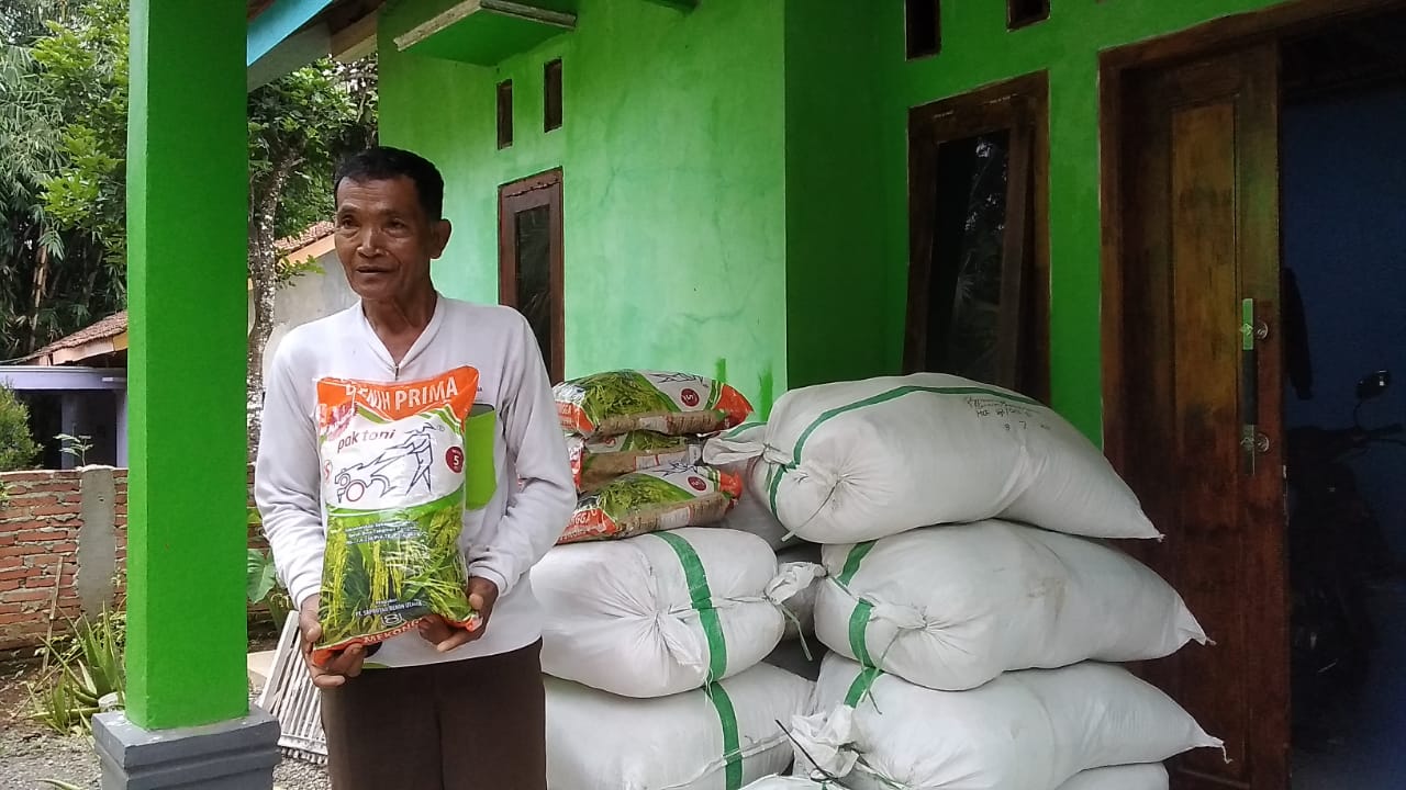 7.525 Kilogram Benih Padi Terdistribusi ke Petani 