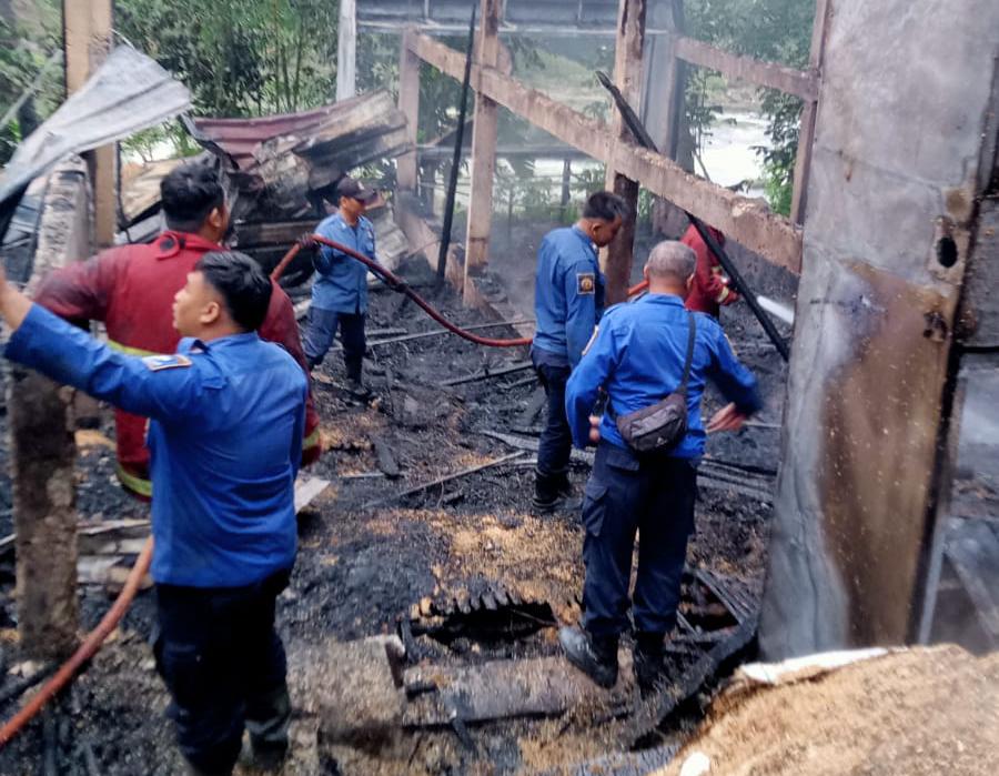 Kandang di Mrebet Purbalingga Terbakar, 9.300 Ayam Mati dan Kerugian Capai Rp750 Juta