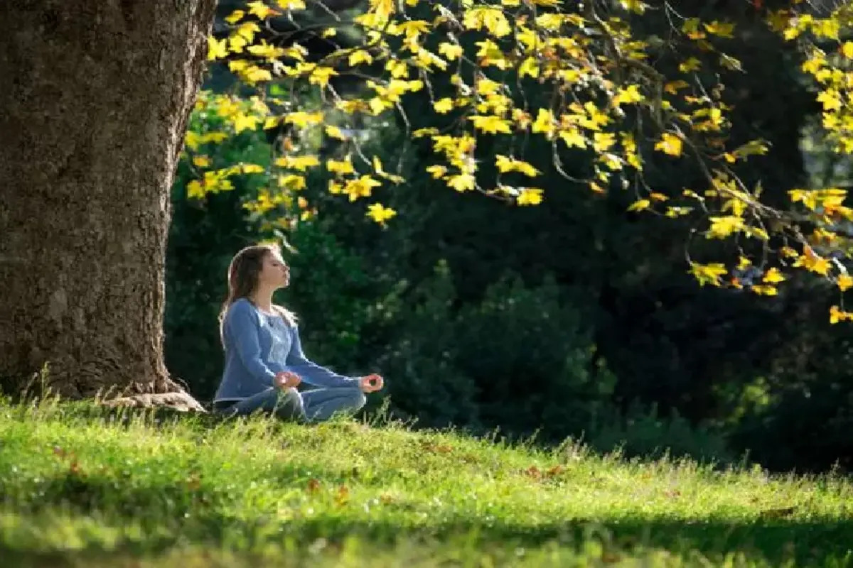 7 Manfaat Meditasi Mindfulness untuk Kesehatan Mental, Menemukan Ketenangan dalam Kehidupan yang Sibuk
