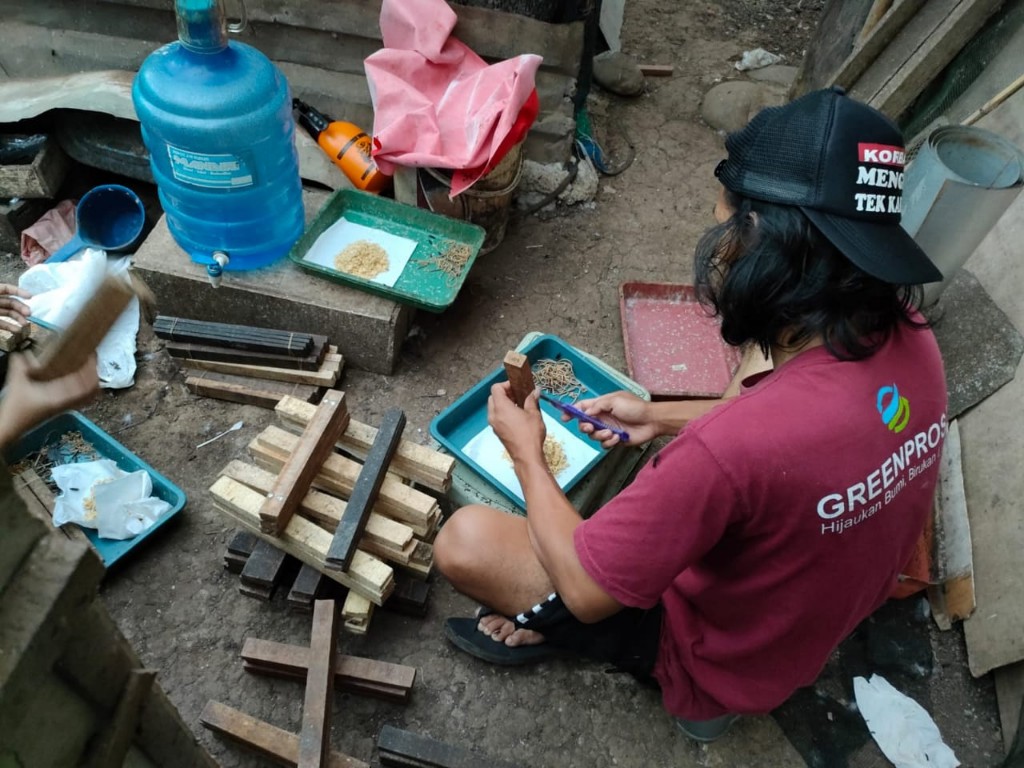 Budidaya Larva Lalat, Warga Blater Purbalingga Mampu Kantongi Rp 15 Juta Per Bulan