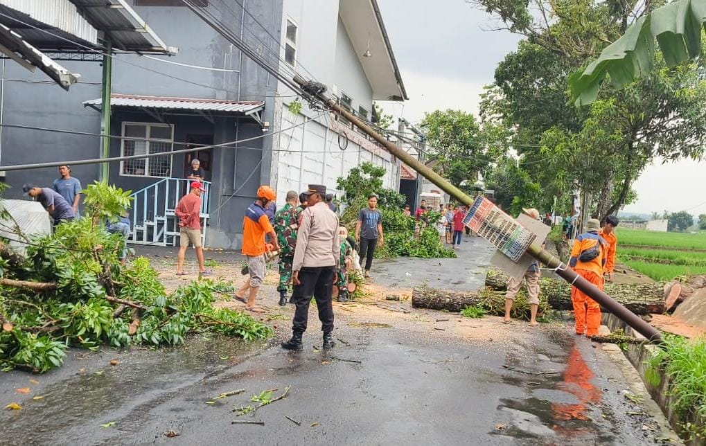 Hujan Deras Disertai Angin di Padamara, Rumah Tertimpa Pohon dan Tiang Telepon Roboh
