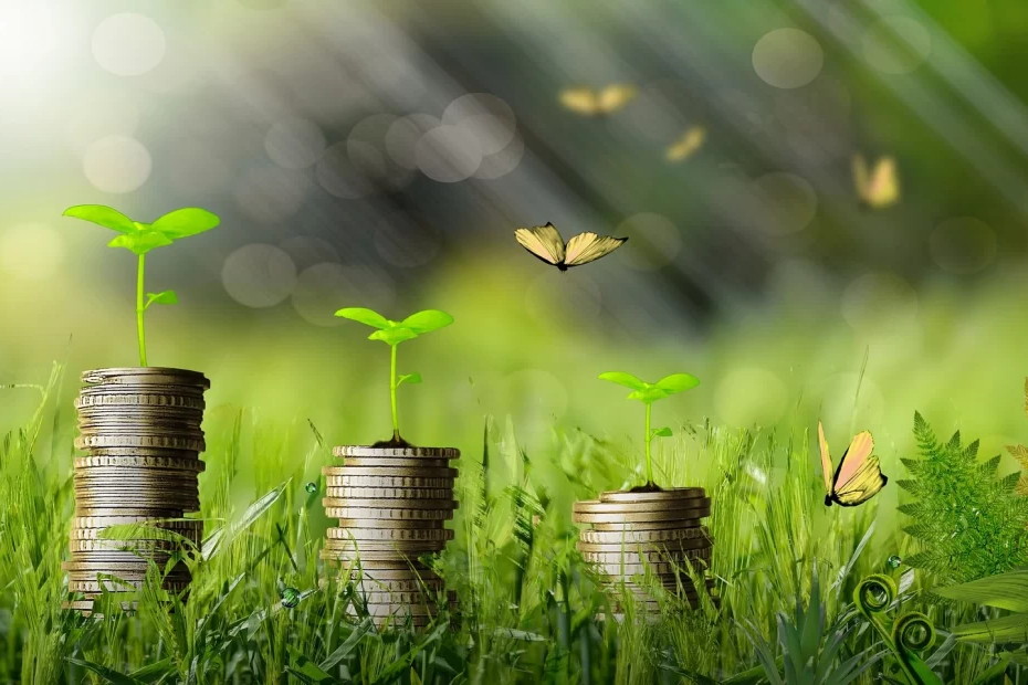 Mengenal Greenflation pada Ekonomi Hijau