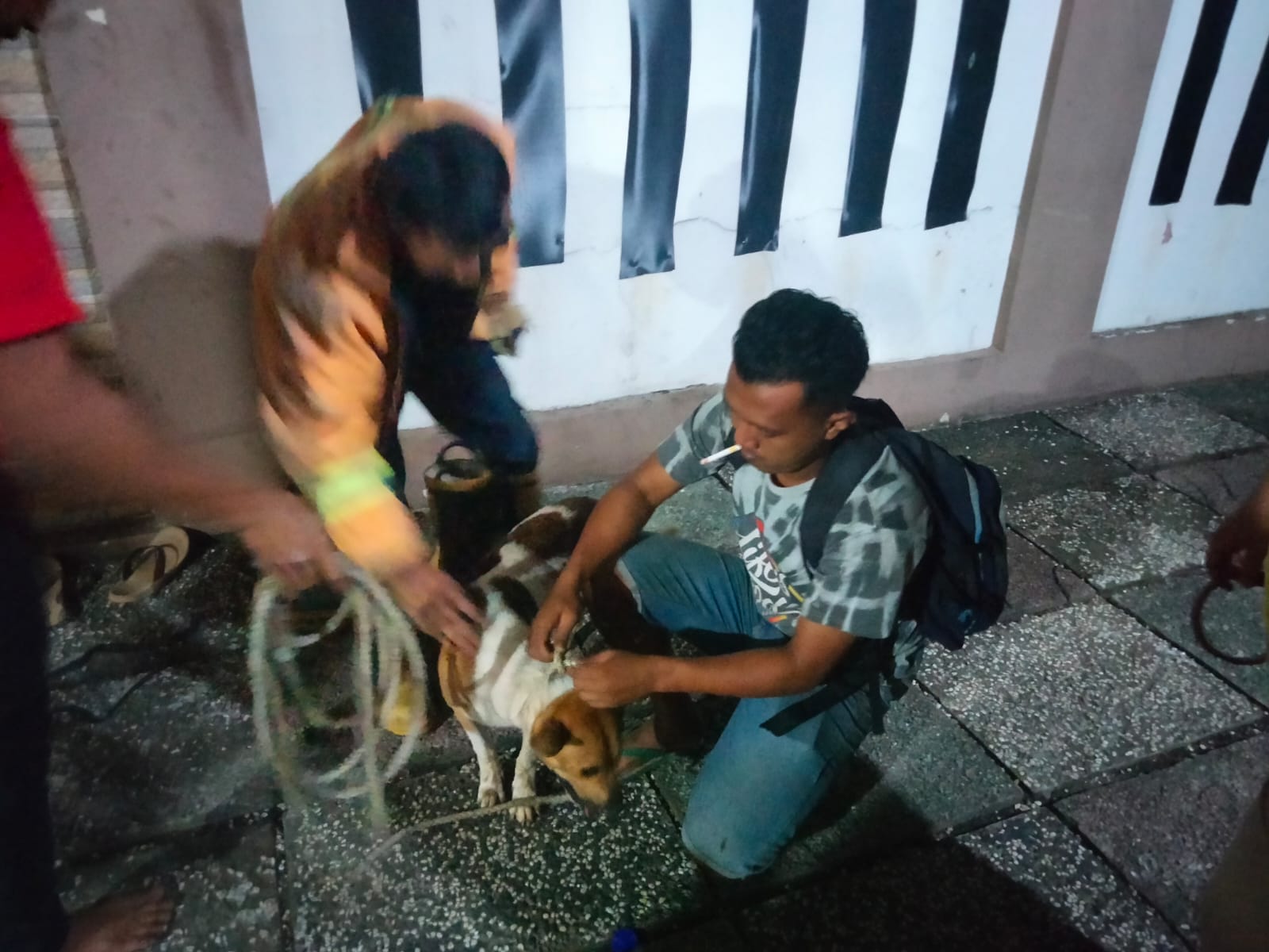Serba Bisa, Petugas Damkar Pos Jaga Majenang Selamatkan Anjing Peliharaan di Sela-Sela Bangunan