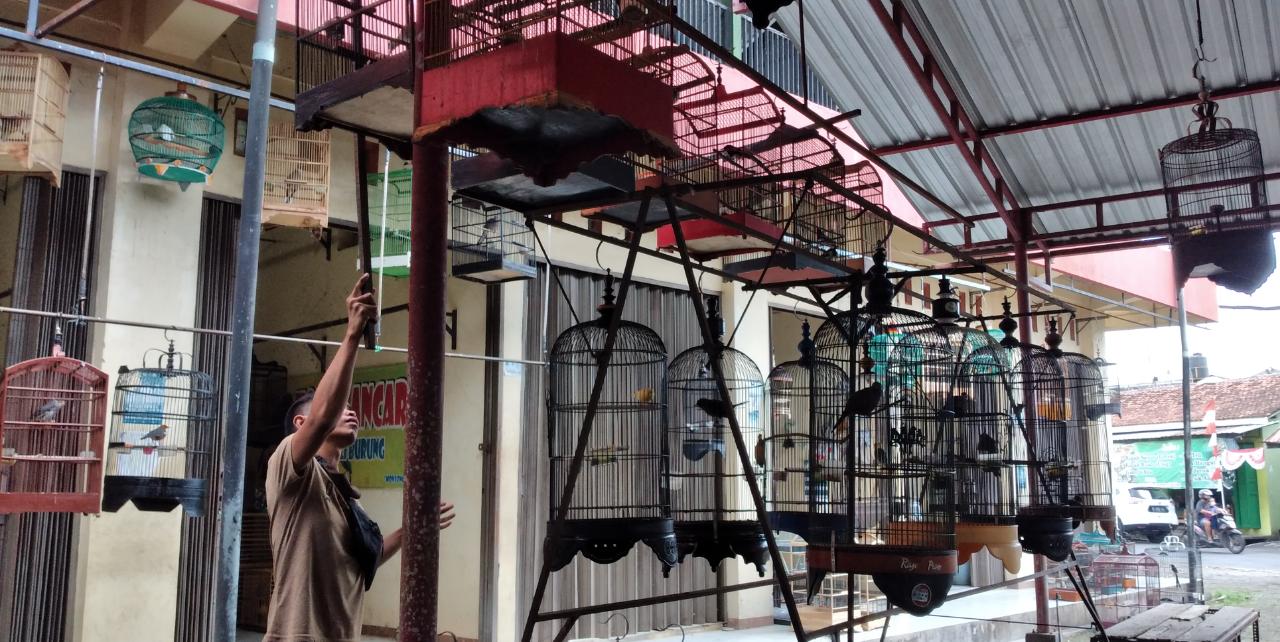 15 Pedagang Disurati Pengelola Pasar Burung Peksi Bacingah Purwokerto, Ini Tujuannya 