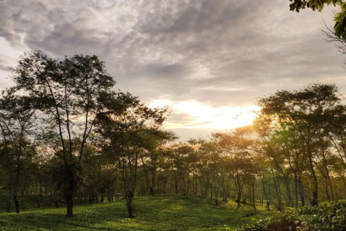 Menjelajahi Pesona Wisata Agro Wonosari, Fasilitas, Harga Tiket, dan Daya Tariknya