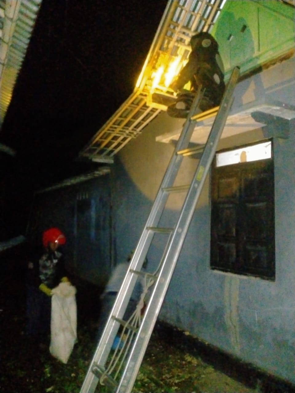 Marak Tawon Vespa, Damkar Kemranjen Evakuasi Sarang