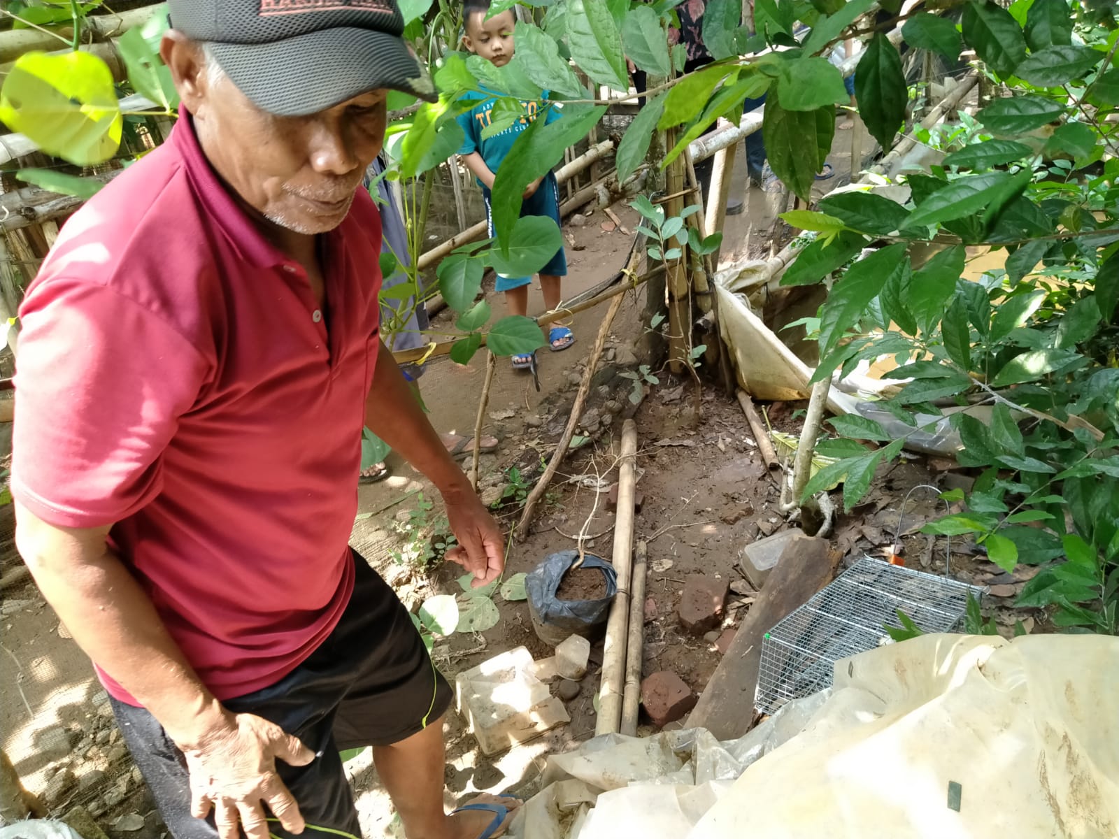 Jumlah Kasus Naik, Tingkat Kematian Leptospirosis Turun