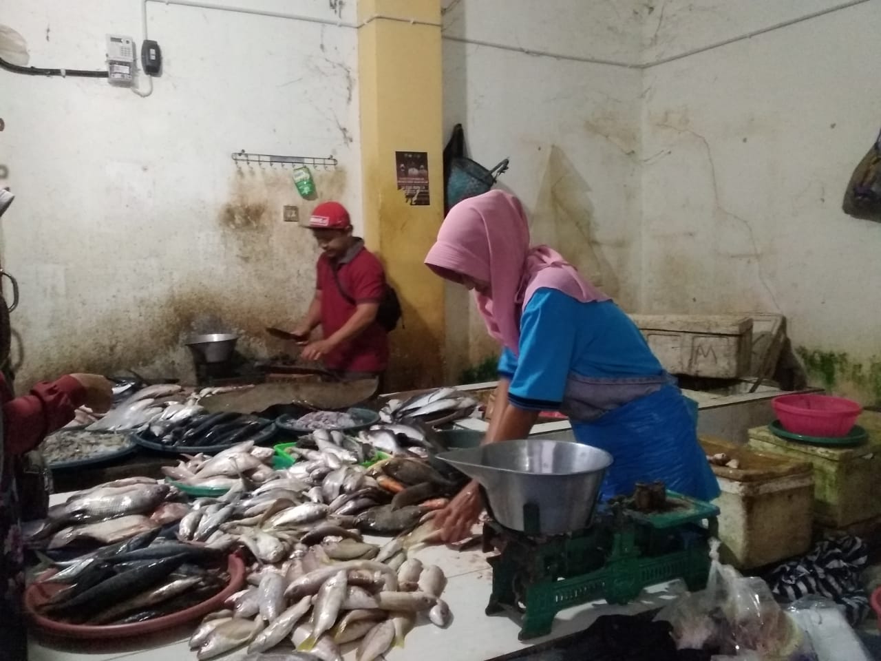 Harga Sumber Protein Hewani Fluktuatif, Omset Stabil