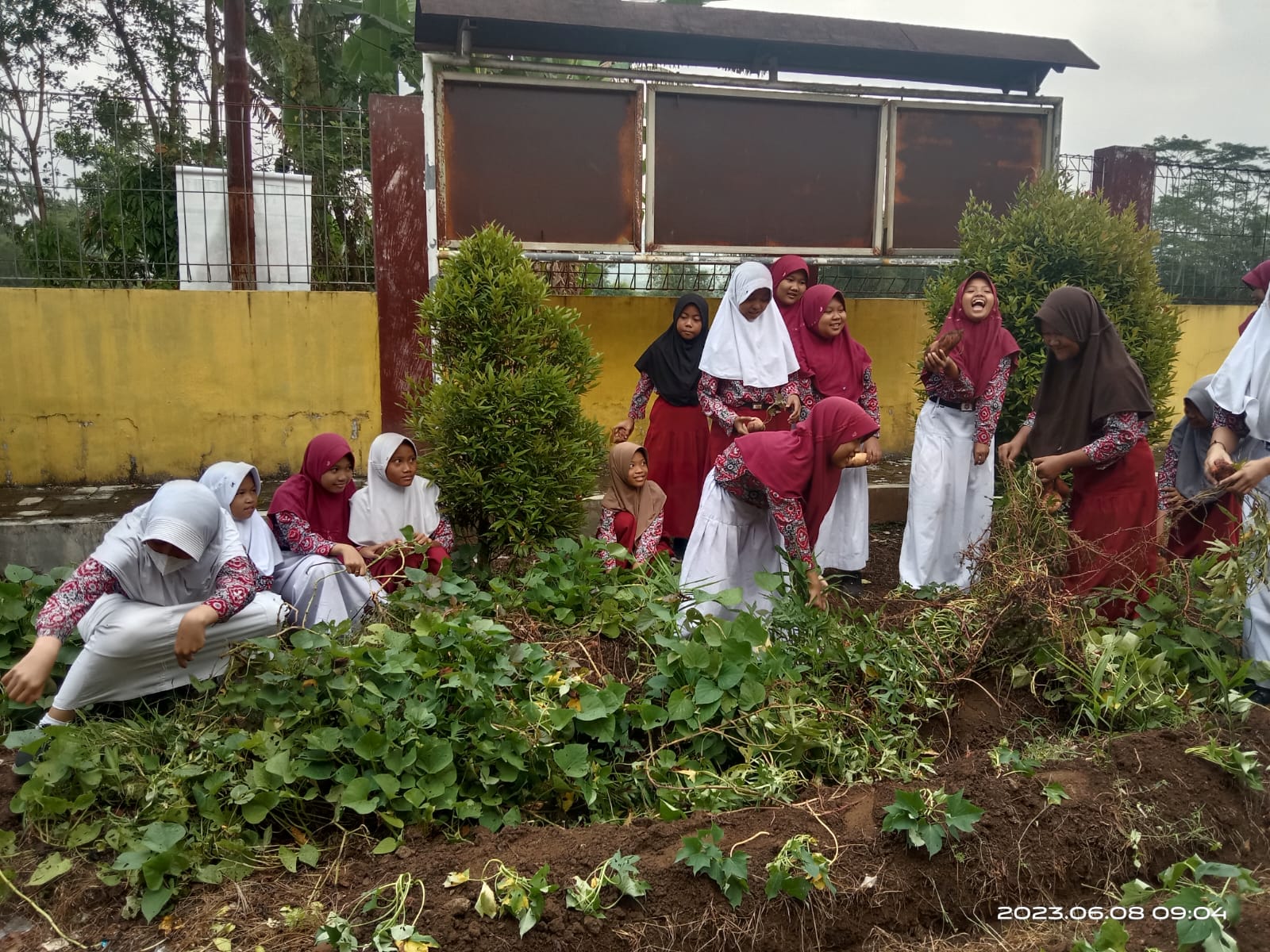 Implementasi P5 SDN Pandansari Banyumas dengan Berkebun 