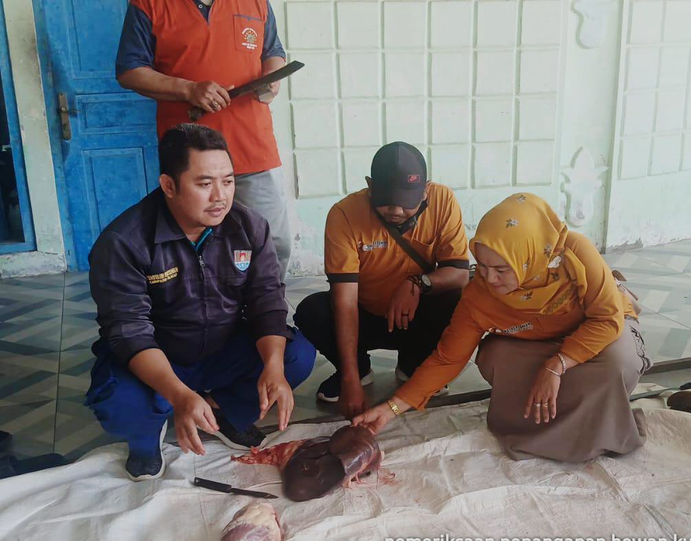 Lebih dari 25 Ribu Hewan Kurban Disembelih di Cilacap