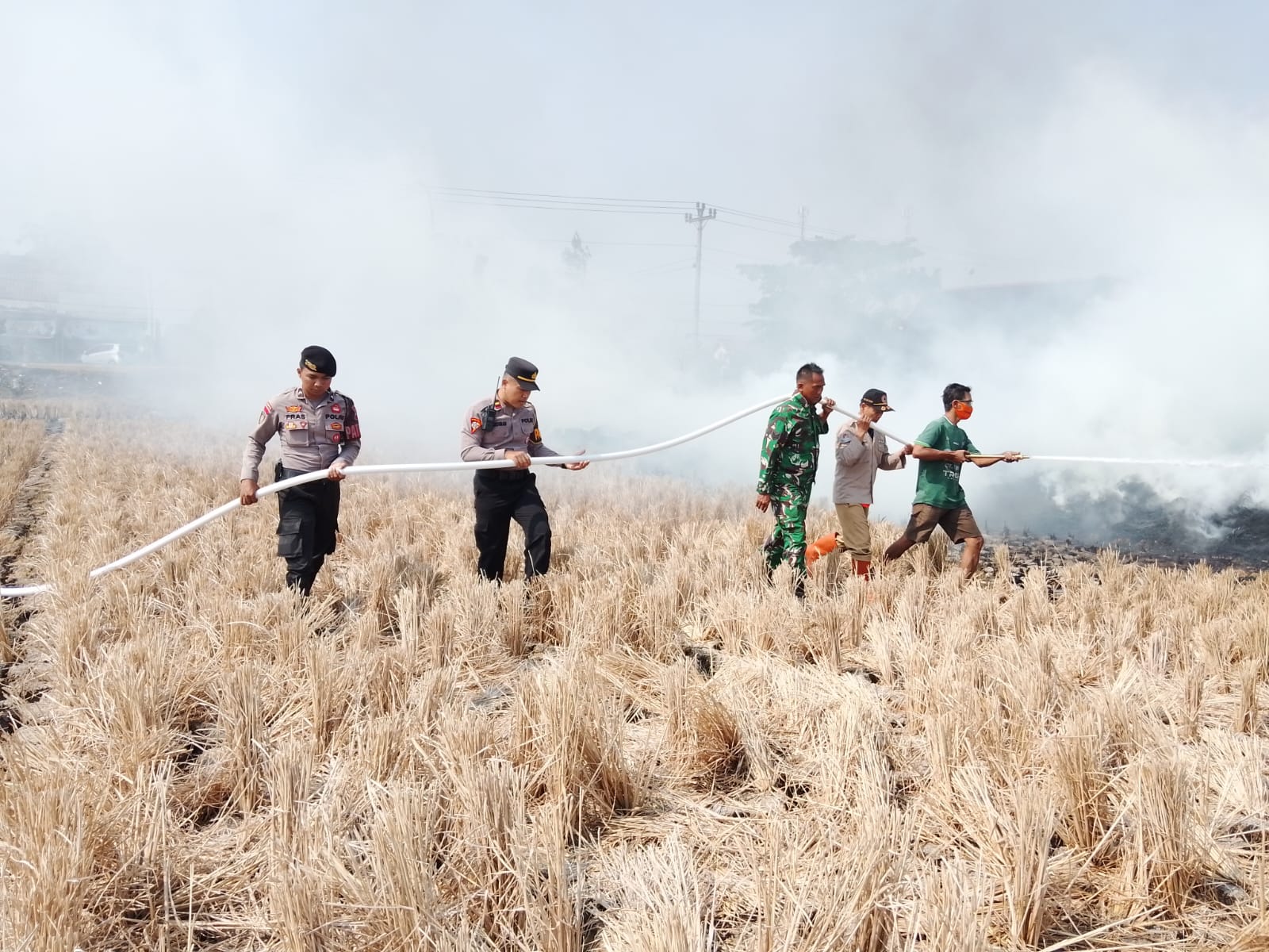 31 Kebakaran Lahan Terjadi di Cilacap dalam 2,5 Bulan, 62,54 Hektare Terdampak