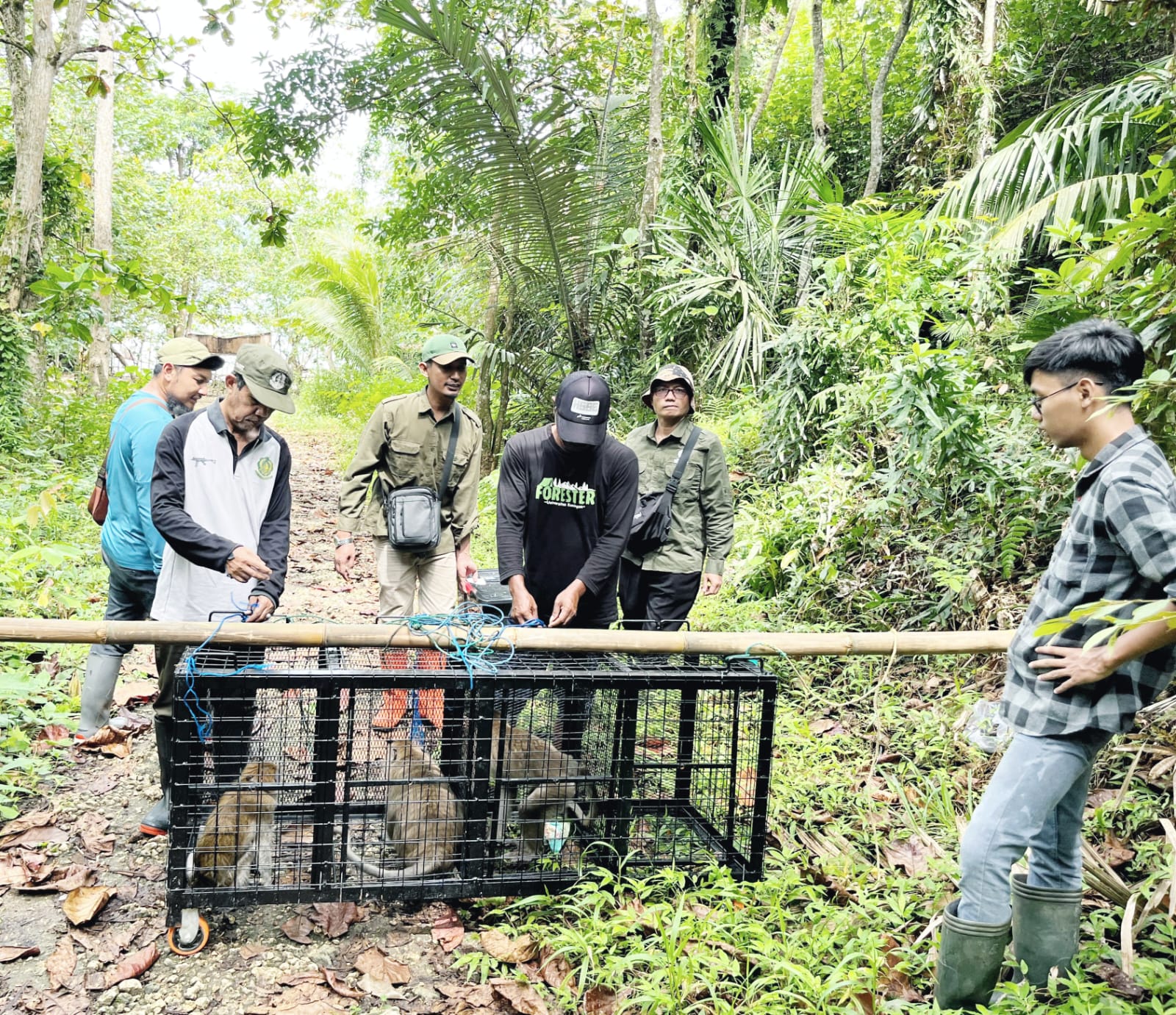 Empat Satwa Liar Dilepasliarkan di Cagar Alam Nusakambangan Timur Cilacap