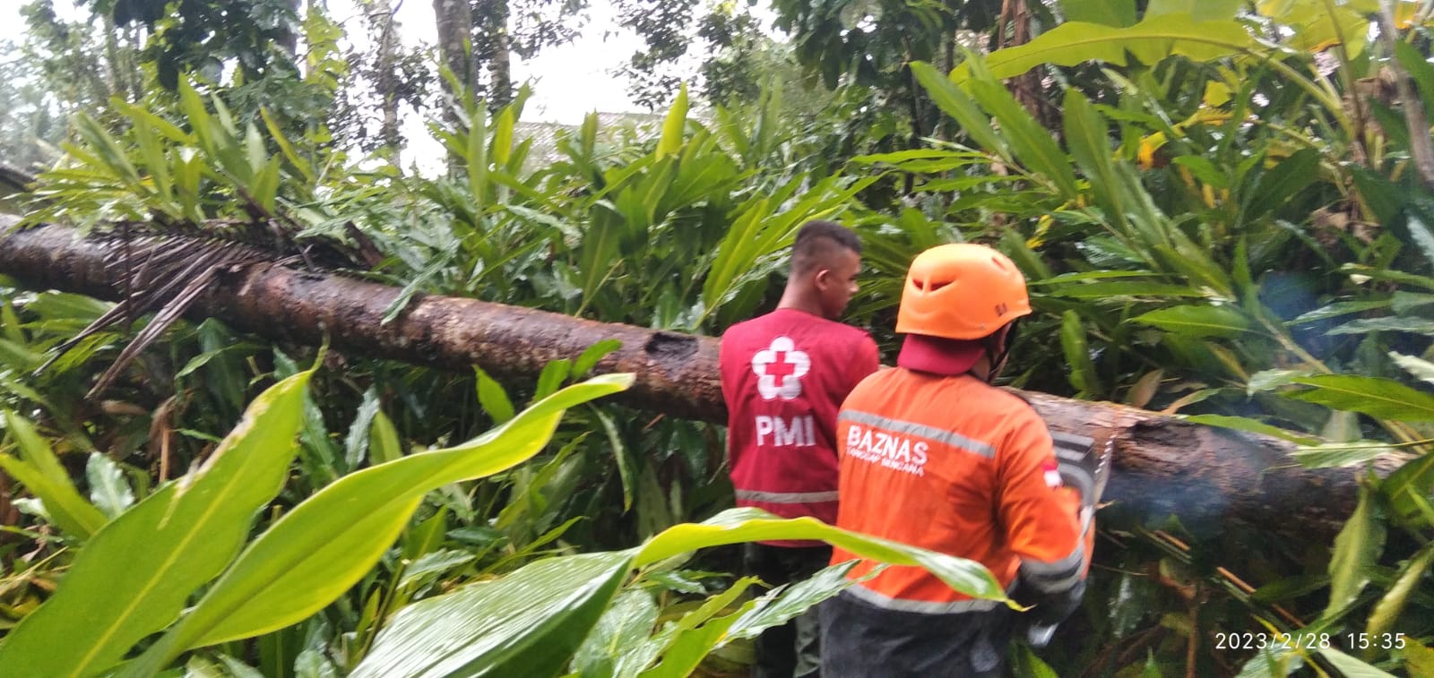 Dampak Bencana Angin dan Hujan Meluas, Ini Keterangan BPBD Purbalingga