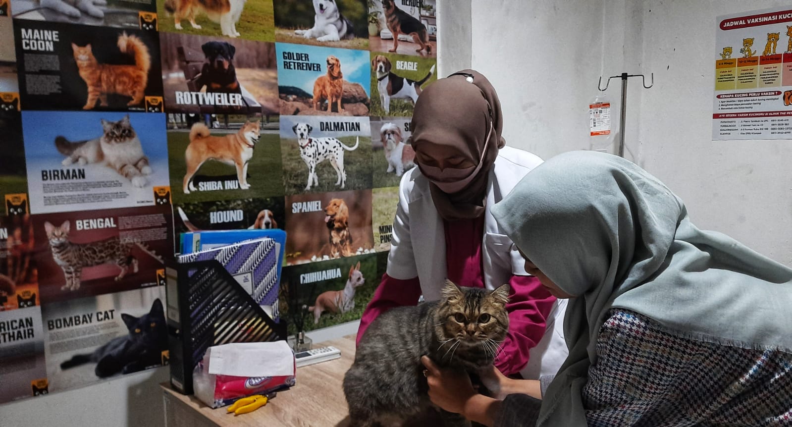 Transaksi di The Pet Gratis Voucher Ampera